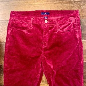 GAP Velvet Skinny Pants💋